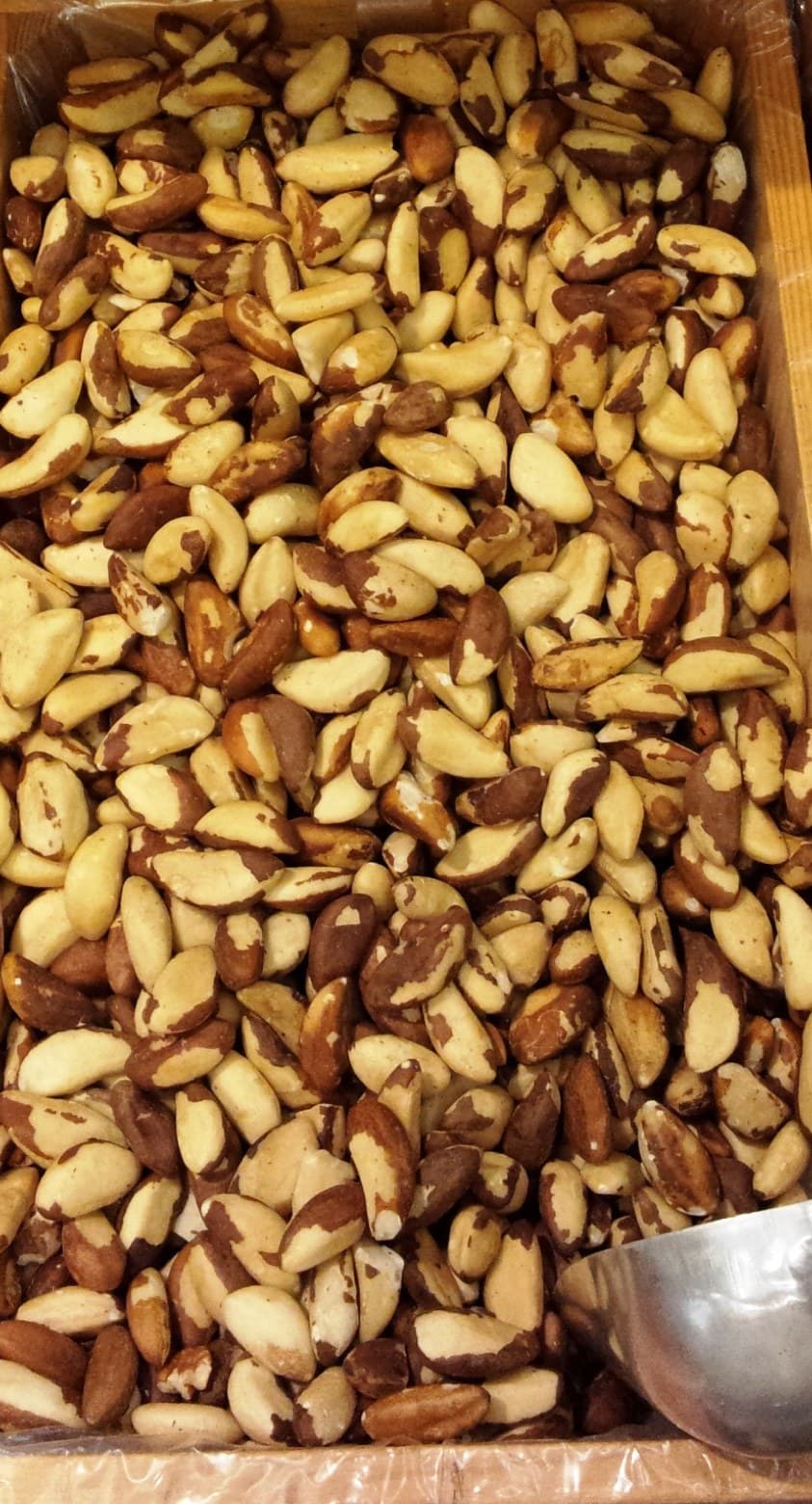 Shelled Brazil nut kernels
